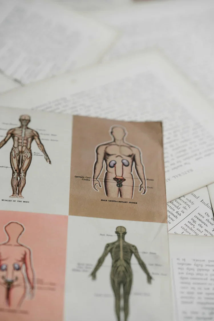 What the lymph?