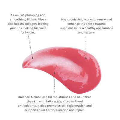 Evolve Glossy Lip Oil