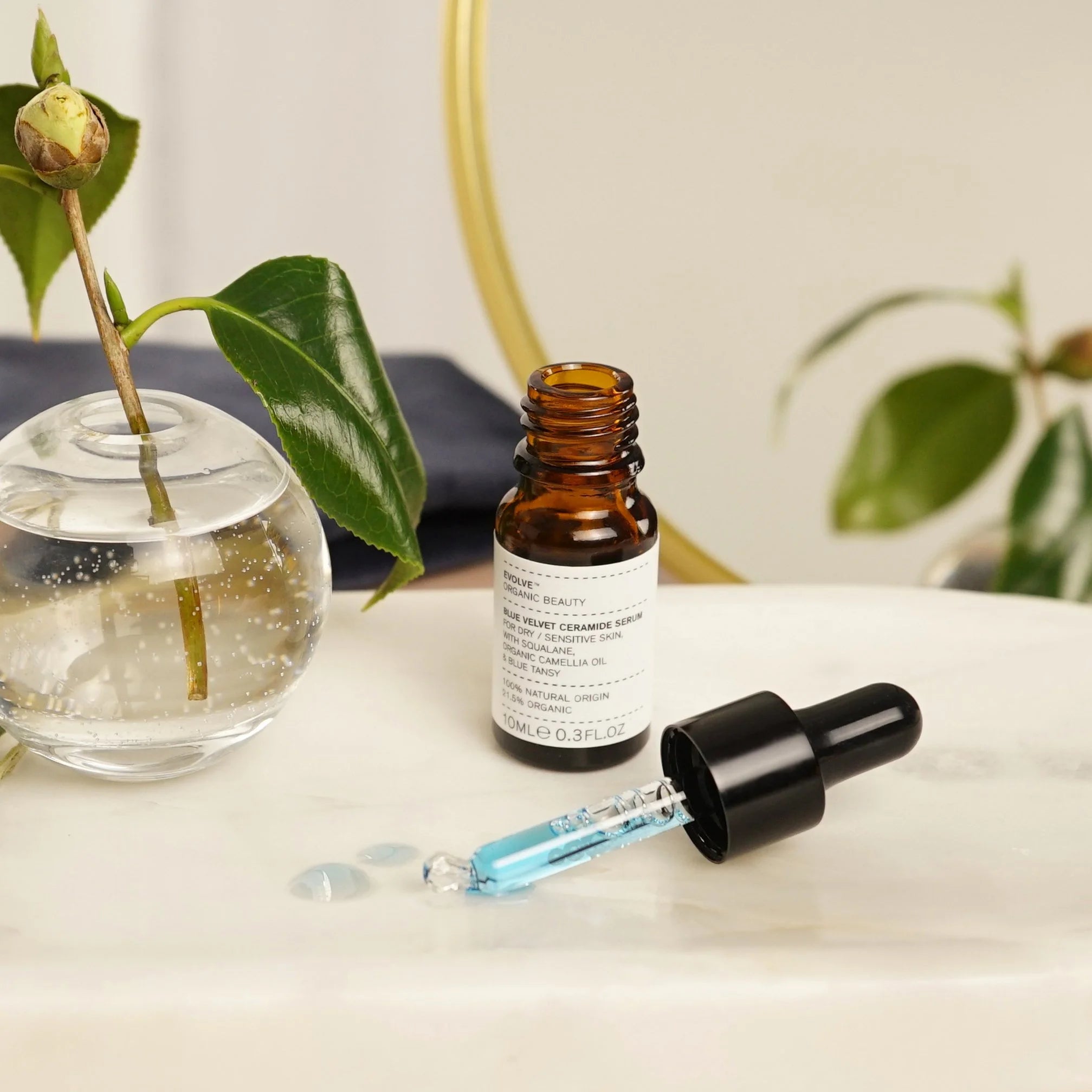 Evolve Blue Velvet Ceramide Serum
