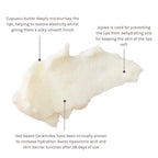 Evolve Lip Smoothing Ceramide